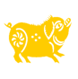 生肖猪